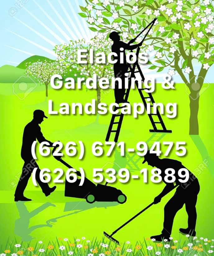 Elacios Gardening & Lanscaping Image